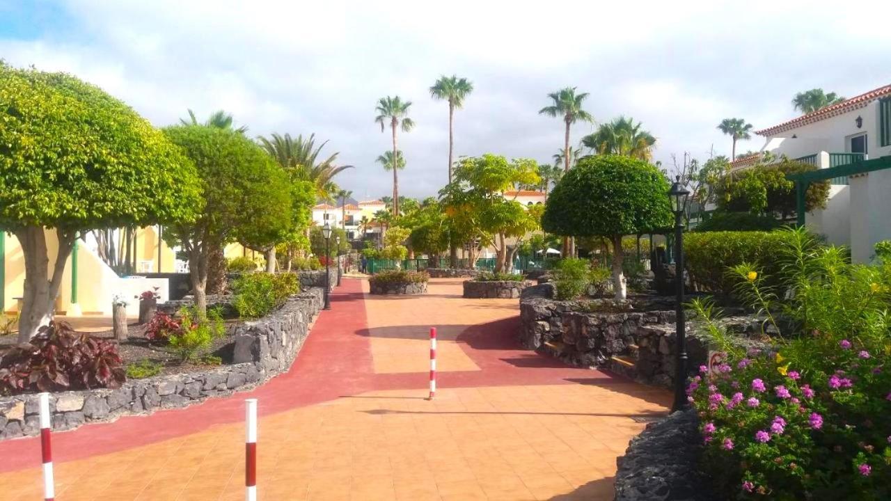 Tenerifehause サンミゲル・デ・アボナ エクステリア 写真